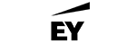 Partner 6