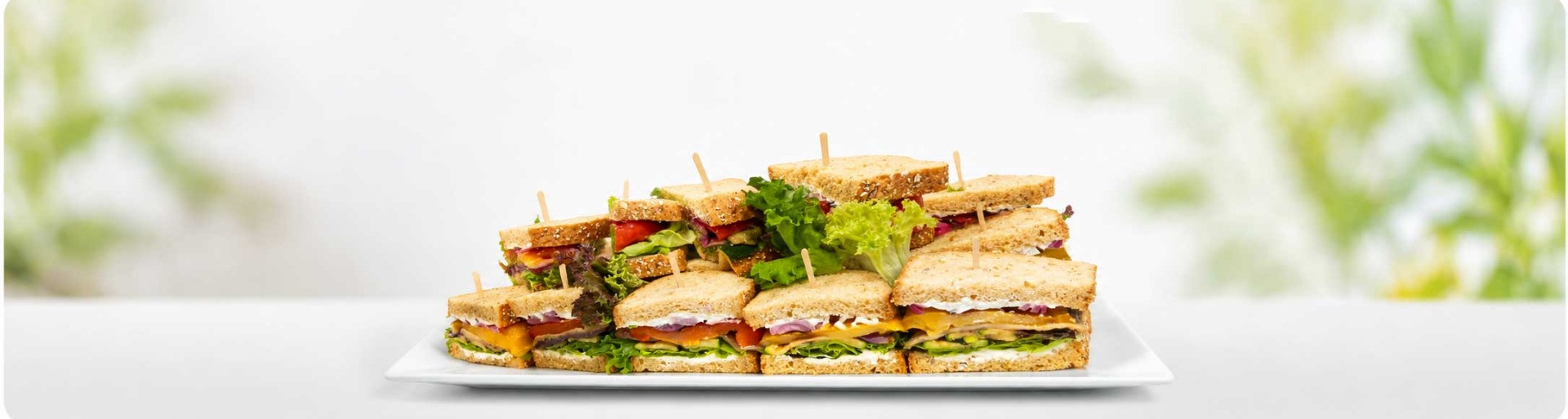  Sandwich & Salad 